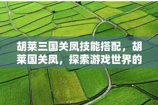 胡莱三国关凤技能搭配，胡莱国关凤，探索游戏世界的另类传奇