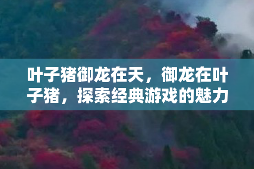 叶子猪御龙在天,御龙在叶子猪,探索经典游戏的魅力与传承 叶子猪御龙在天,御龙在叶子猪,探索经典游戏的魅力与传承