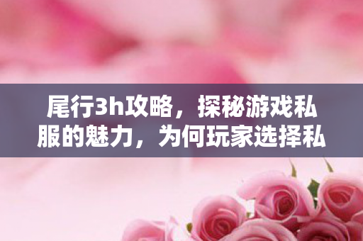 尾行3h攻略,探秘游戏私服的魅力,为何玩家选择私服? 尾行3h攻略,探秘游戏私服的魅力,为何玩家选择私服?