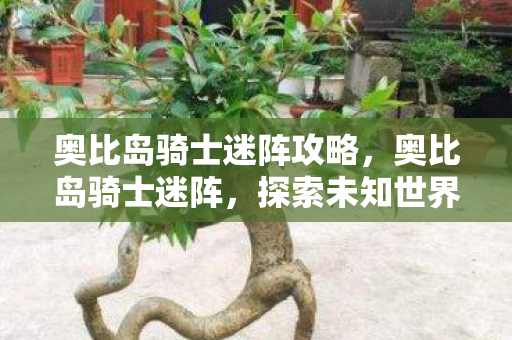 奥比岛骑士迷阵攻略,奥比岛骑士迷阵,探索未知世界的奇幻之旅 奥比岛骑士迷阵攻略,奥比岛骑士迷阵,探索未知世界的奇幻之旅
