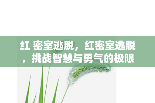 红 密室逃脱，红密室逃脱，挑战智慧与勇气的极限