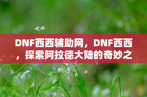 DNF西西辅助网,DNF西西,探索阿拉德大陆的奇妙之旅 DNF西西辅助网,DNF西西,探索阿拉德大陆的奇妙之旅