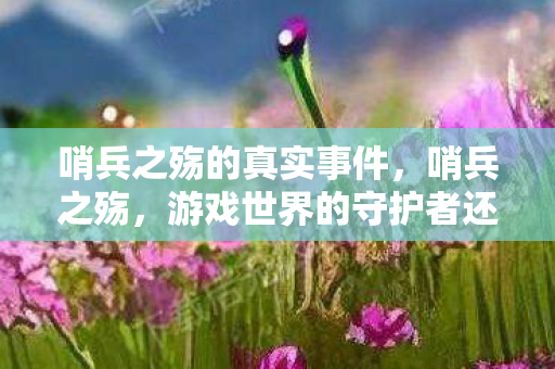 哨兵之殇的真实事件,哨兵之殇,游戏世界的守护者还是孤独的英雄? 哨兵之殇的真实事件,哨兵之殇,游戏世界的守护者还是孤独的英雄?