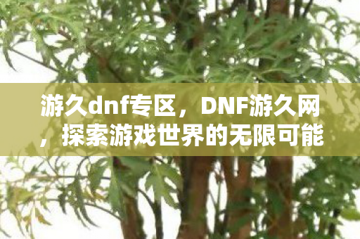 游久dnf专区，DNF游久网，探索游戏世界的无限可能