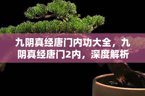 九阴真经唐门内功大全,九阴真经唐门2内,深度解析唐门内功的奥秘 九阴真经唐门内功大全,九阴真经唐门2内,深度解析唐门内功的奥秘