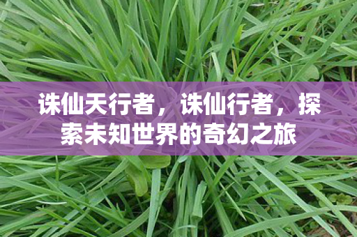 诛仙天行者，诛仙行者，探索未知世界的奇幻之旅
