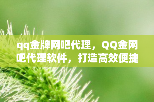 qq金牌网吧代理,QQ金网吧代理软件,打造高效便捷的网络环境 qq金牌网吧代理,QQ金网吧代理软件,打造高效便捷的网络环境