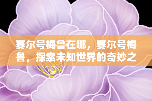 赛尔号梅鲁在哪,赛尔号梅鲁,探索未知世界的奇妙之旅 赛尔号梅鲁在哪,赛尔号梅鲁,探索未知世界的奇妙之旅