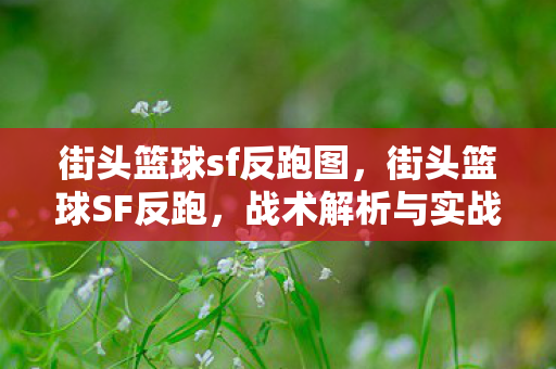 街头篮球sf反跑图，街头篮球SF反跑，战术解析与实战应用