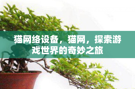 猫网络设备,猫网,探索游戏世界的奇妙之旅 猫网络设备,猫网,探索游戏世界的奇妙之旅