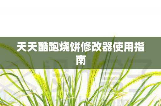 天天酷跑烧饼修改器使用指南 天天酷跑烧饼修改器使用指南