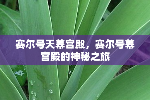 赛尔号天幕宫殿,赛尔号幕宫殿的神秘之旅 赛尔号天幕宫殿,赛尔号幕宫殿的神秘之旅