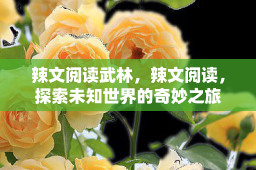 辣文阅读武林,辣文阅读,探索未知世界的奇妙之旅 辣文阅读武林,辣文阅读,探索未知世界的奇妙之旅