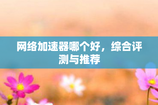 网络加速器哪个好，综合评测与推荐