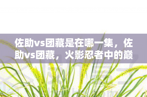 佐助vs团藏是在哪一集,佐助vs团藏,火影忍者中的巅峰对决 佐助vs团藏是在哪一集,佐助vs团藏,火影忍者中的巅峰对决