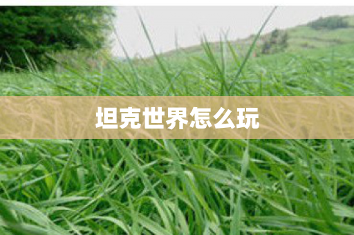 坦克世界怎么玩 坦克世界怎么玩