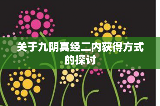 关于九阴真经二内获得方式的探讨 关于九阴真经二内获得方式的探讨