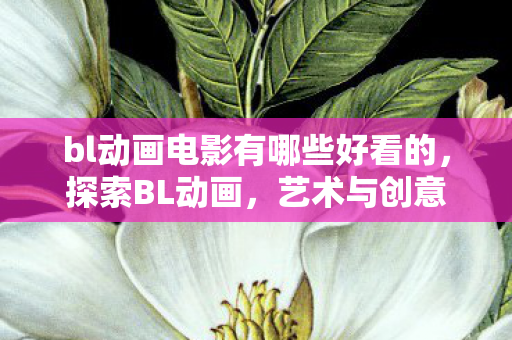 bl动画电影有哪些好看的，探索BL动画，艺术与创意的无限可能