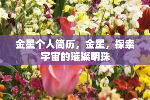 金星个人简历,金星,探索宇宙的璀璨明珠 金星个人简历,金星,探索宇宙的璀璨明珠