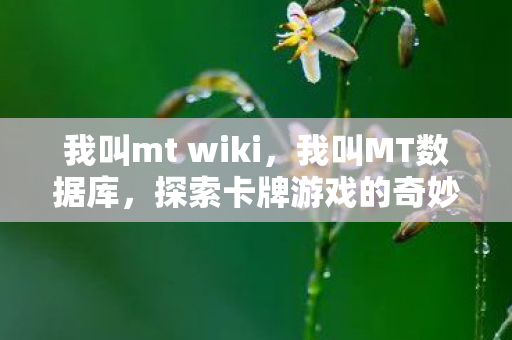 我叫mt wiki,我叫MT数据库,探索卡牌游戏的奇妙世界 我叫mt wiki,我叫MT数据库,探索卡牌游戏的奇妙世界