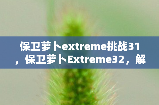 保卫萝卜extreme挑战31,保卫萝卜Extreme32,解锁新挑战,打造极致塔防体验 保卫萝卜extreme挑战31,保卫萝卜Extreme32,解锁新挑战,打造极致塔防体验