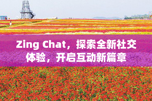 Zing Chat,探索全新社交体验,开启互动新篇章 Zing Chat,探索全新社交体验,开启互动新篇章