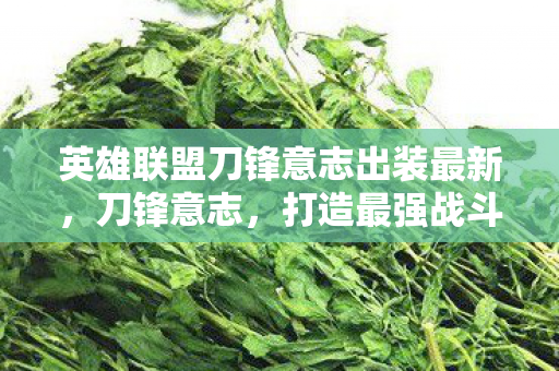 英雄联盟刀锋意志出装最新,刀锋意志,打造最强战斗力的出装指南 英雄联盟刀锋意志出装最新,刀锋意志,打造最强战斗力的出装指南