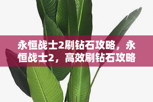 永恒战士2刷钻石攻略，永恒战士2，高效刷钻石攻略