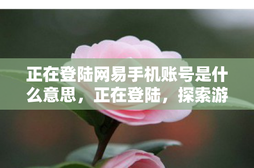 正在登陆网易手机账号是什么意思,正在登陆,探索游戏世界的无限可能 正在登陆网易手机账号是什么意思,正在登陆,探索游戏世界的无限可能