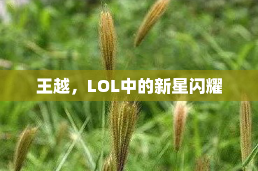 王越,LOL中的新星闪耀 王越,LOL中的新星闪耀