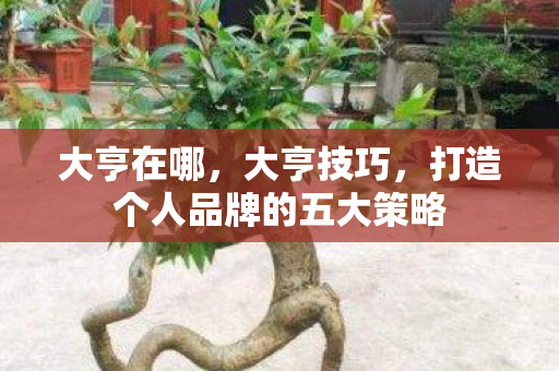 大亨在哪,大亨技巧,打造个人品牌的五大策略 大亨在哪,大亨技巧,打造个人品牌的五大策略