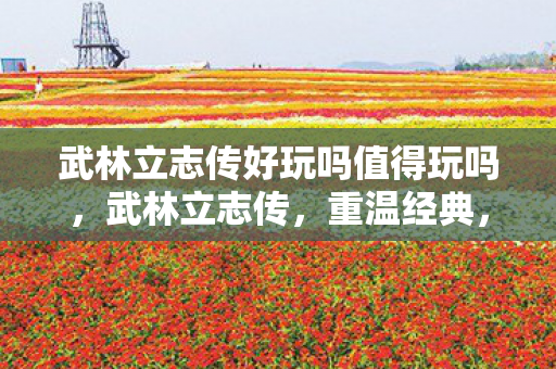 武林立志传好玩吗值得玩吗,武林立志传,重温经典,再续武侠梦 武林立志传好玩吗值得玩吗,武林立志传,重温经典,再续武侠梦