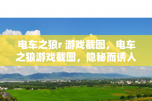 电车之狼r 游戏截图,电车之狼游戏截图,隐秘而诱人的故事 电车之狼r 游戏截图,电车之狼游戏截图,隐秘而诱人的故事