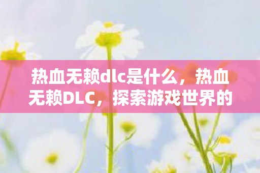 热血无赖dlc是什么,热血无赖DLC,探索游戏世界的深度与广度 热血无赖dlc是什么,热血无赖DLC,探索游戏世界的深度与广度