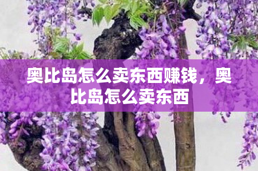 奥比岛怎么卖东西赚钱,奥比岛怎么卖东西 奥比岛怎么卖东西赚钱,奥比岛怎么卖东西