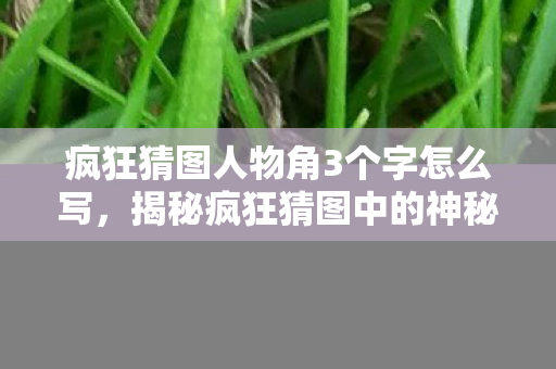 疯狂猜图人物角3个字怎么写，揭秘疯狂猜图中的神秘人物角