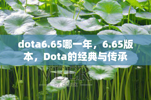 dota6.65哪一年，6.65版本，Dota的经典与传承