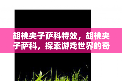 胡桃夹子萨科特效，胡桃夹子萨科，探索游戏世界的奇妙之旅