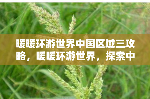 暖暖环游世界中国区域三攻略,暖暖环游世界,探索中国域3的奇妙之旅 暖暖环游世界中国区域三攻略,暖暖环游世界,探索中国域3的奇妙之旅