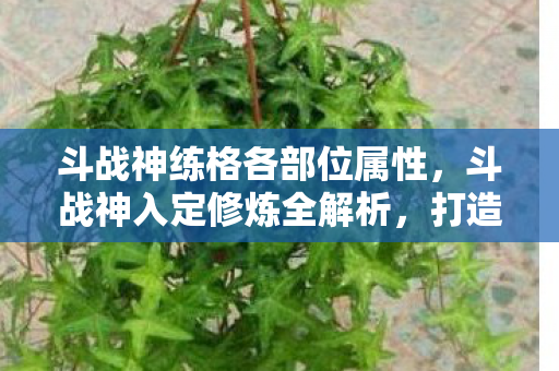 斗战神练格各部位属性,斗战神入定修炼全解析,打造你的修炼之路 斗战神练格各部位属性,斗战神入定修炼全解析,打造你的修炼之路