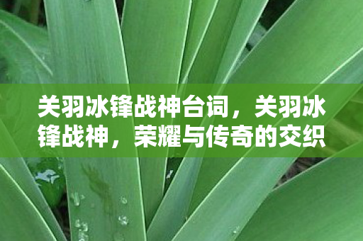 关羽冰锋战神台词,关羽冰锋战神,荣耀与传奇的交织 关羽冰锋战神台词,关羽冰锋战神,荣耀与传奇的交织