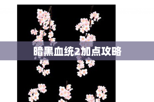 暗黑血统2加点攻略 暗黑血统2加点攻略