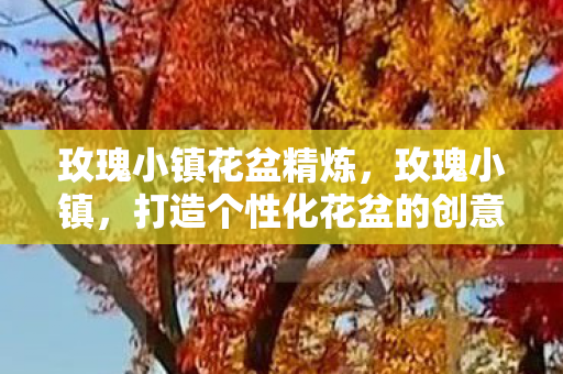 玫瑰小镇花盆精炼,玫瑰小镇,打造个性化花盆的创意之旅 玫瑰小镇花盆精炼,玫瑰小镇,打造个性化花盆的创意之旅