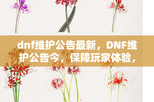 dnf维护公告最新，DNF维护公告今，保障玩家体验，优化游戏环境