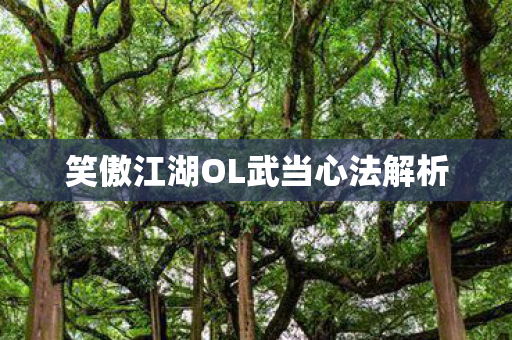 笑傲江湖OL武当心法解析 笑傲江湖OL武当心法解析