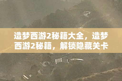 造梦西游2秘籍大全，造梦西游2秘籍，解锁隐藏关卡与角色技能