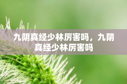 九阴真经少林厉害吗,九阴真经少林厉害吗 九阴真经少林厉害吗,九阴真经少林厉害吗