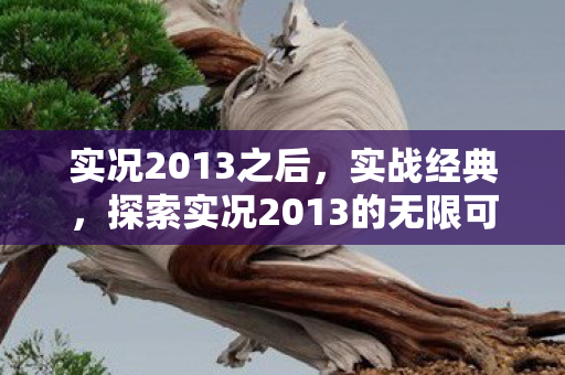 实况2013之后，实战经典，探索实况2013的无限可能