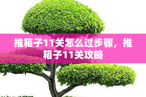 推箱子11关怎么过步骤，推箱子11关攻略