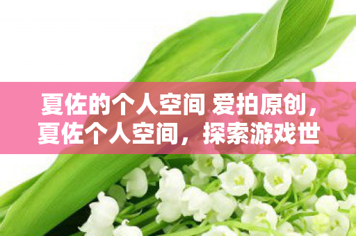 夏佐的个人空间 爱拍原创,夏佐个人空间,探索游戏世界的无限可能 夏佐的个人空间 爱拍原创,夏佐个人空间,探索游戏世界的无限可能